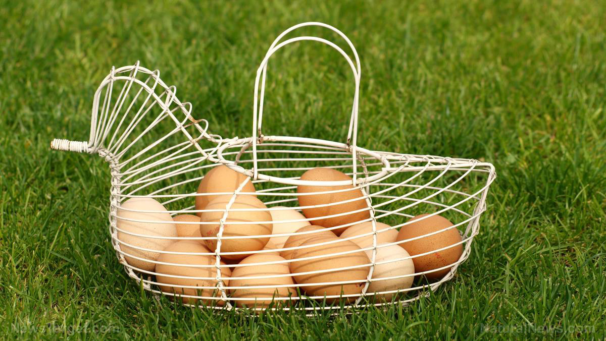 Image: Unusual uses for eggs and eggshells around the house