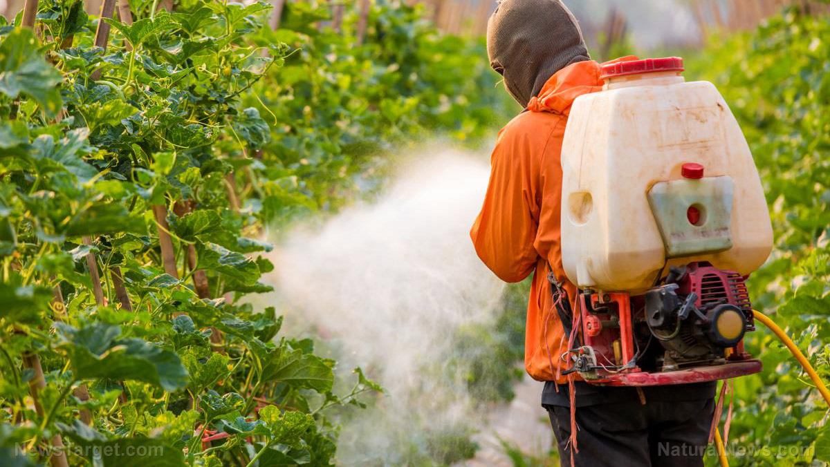 Slika: nevrotoksični pesticid, ki škoduje možganom, ugotovljen v več sto živilih: EPA dovoljuje, da pesticidni lobi narekuje politiko