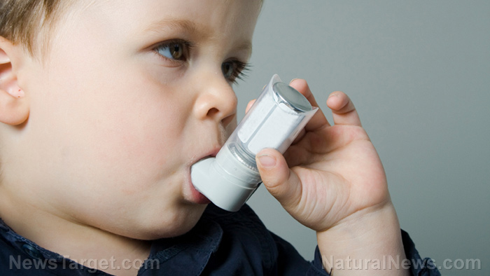 Image: Probiotics help reduce risk of asthma in children