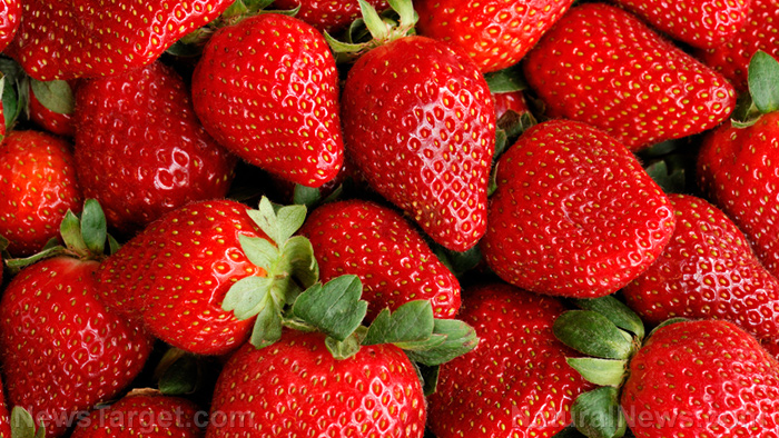 Image: Strawberries found to reduce inflammation and prevent cognitive decline