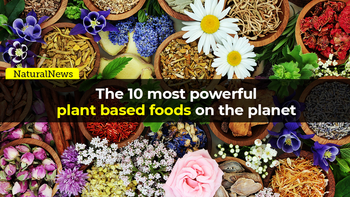 Image: From the Health Ranger Store: The 10 most powerful plant-based foods on the planet