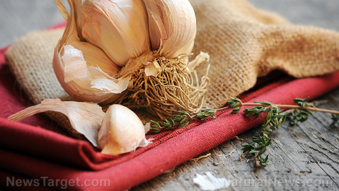 Image: Aged garlic extract reduces low-grade inflammation in obese people