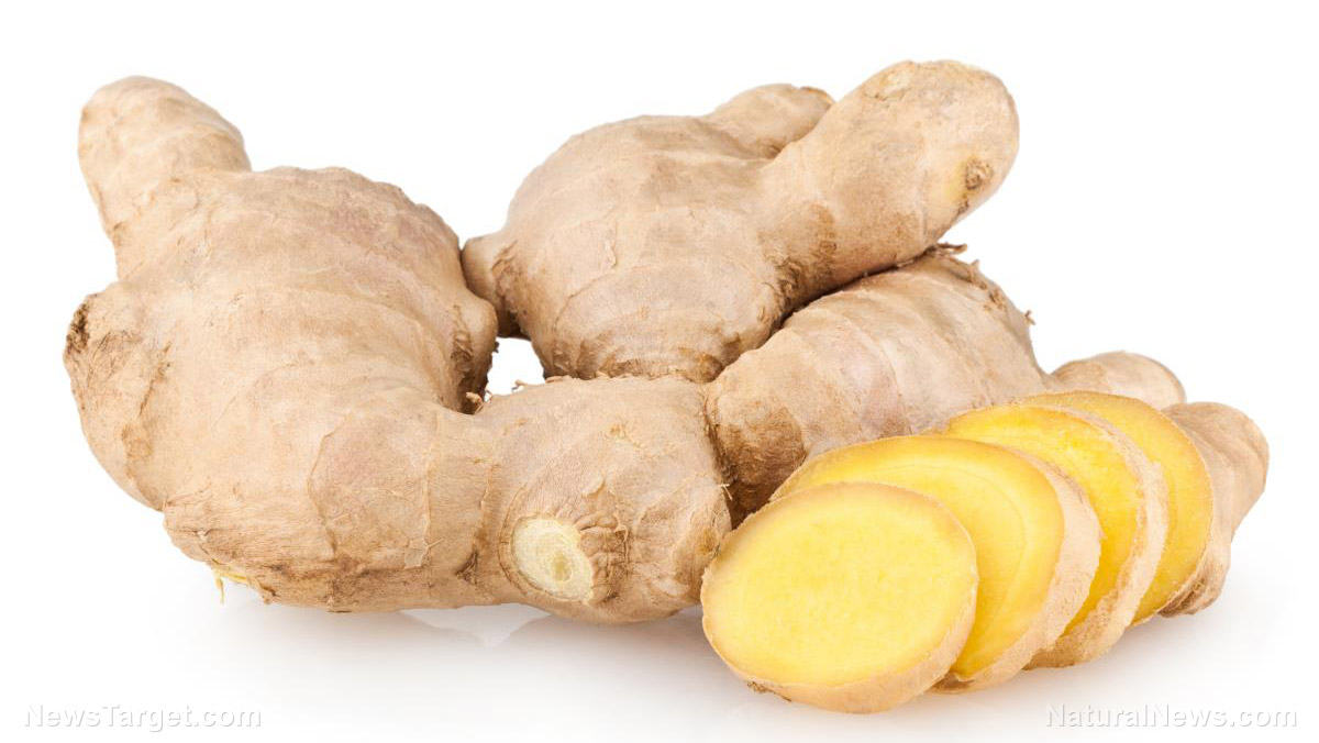 These foods KILL cancer cells better than chemotherapy Ginger-Root-Isolated-White-Background