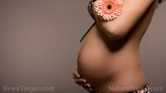 Image: Women trying to conceive should ditch the junk food and eat more fruit, says new study