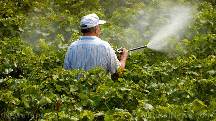 Image: Even low-level exposure to pesticides increases your risk of Parkinson’s