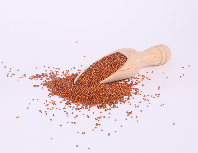 Image: Finger millet is a nutritional powerhouse: A review of the nutrients it offers