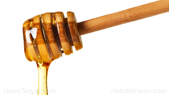 Image: The powerful antioxidant and anti-cancer effects of arid region honey