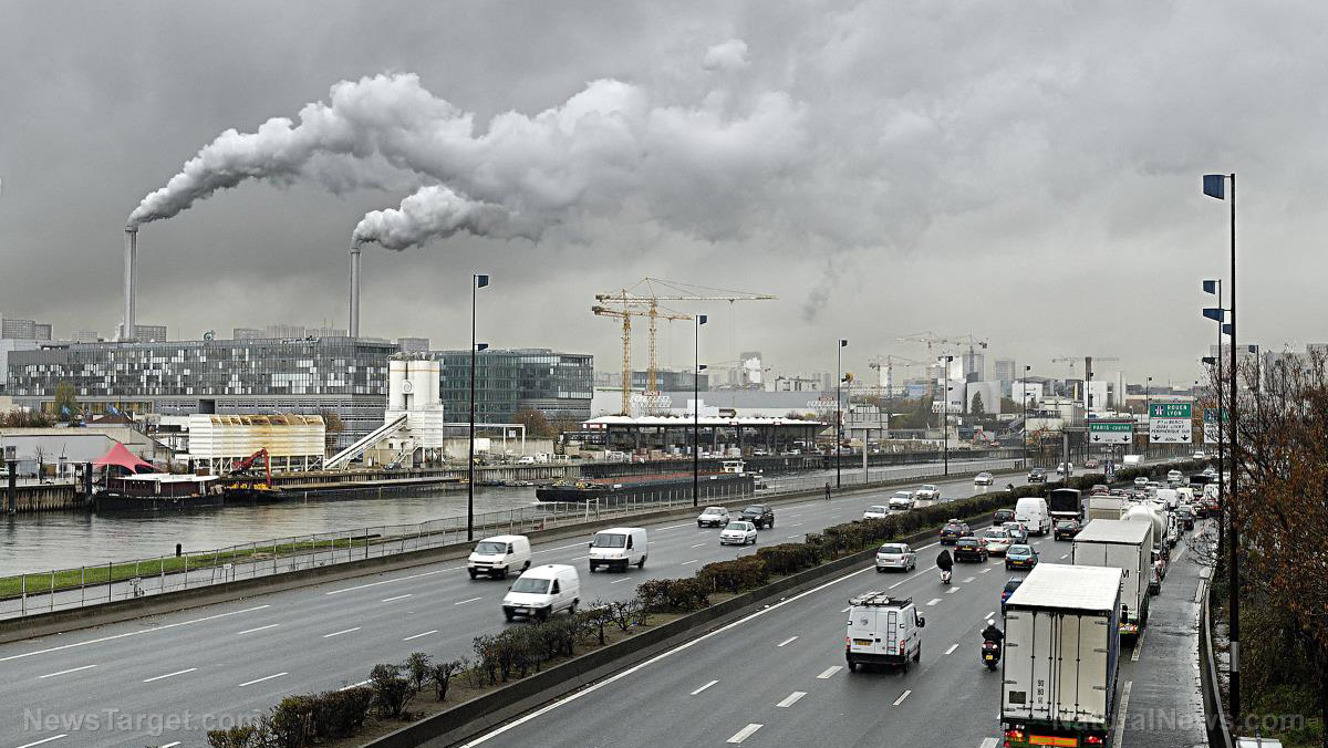 Image: Woman sues France for failing to protect her from air pollution
