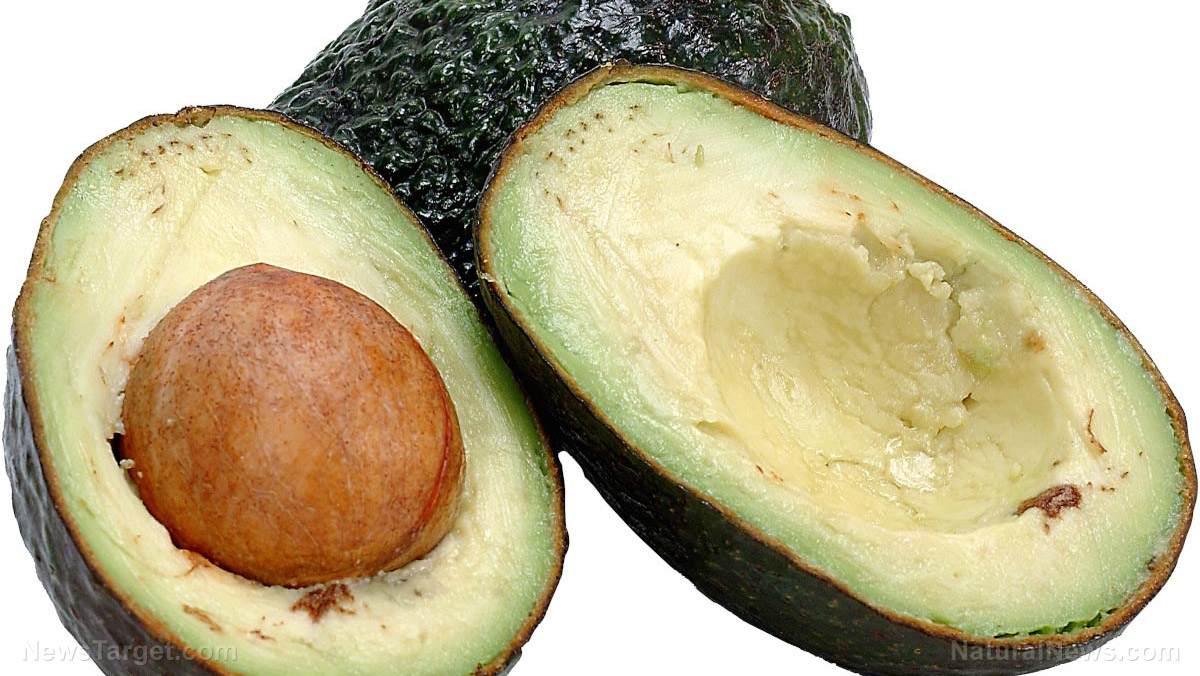 Image: Lutein in avocados found to protect the brain from effects of aging