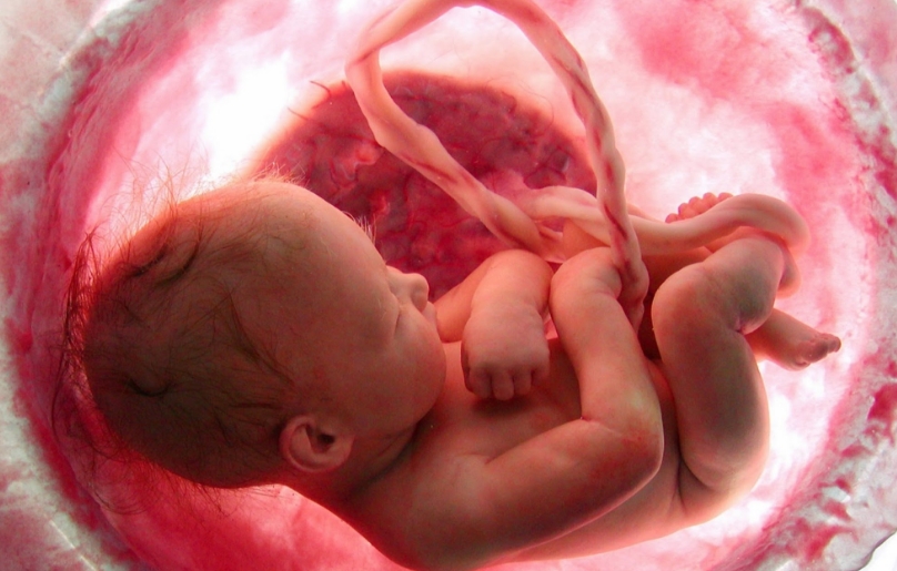 Image: Unborn babies can recognize FACES from inside the womb
