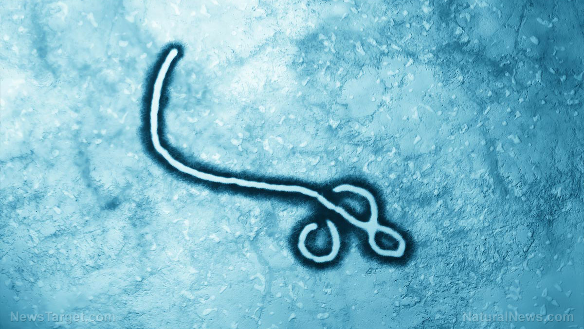 Image: Ebola virus survives for two years in the semen of infection survivors