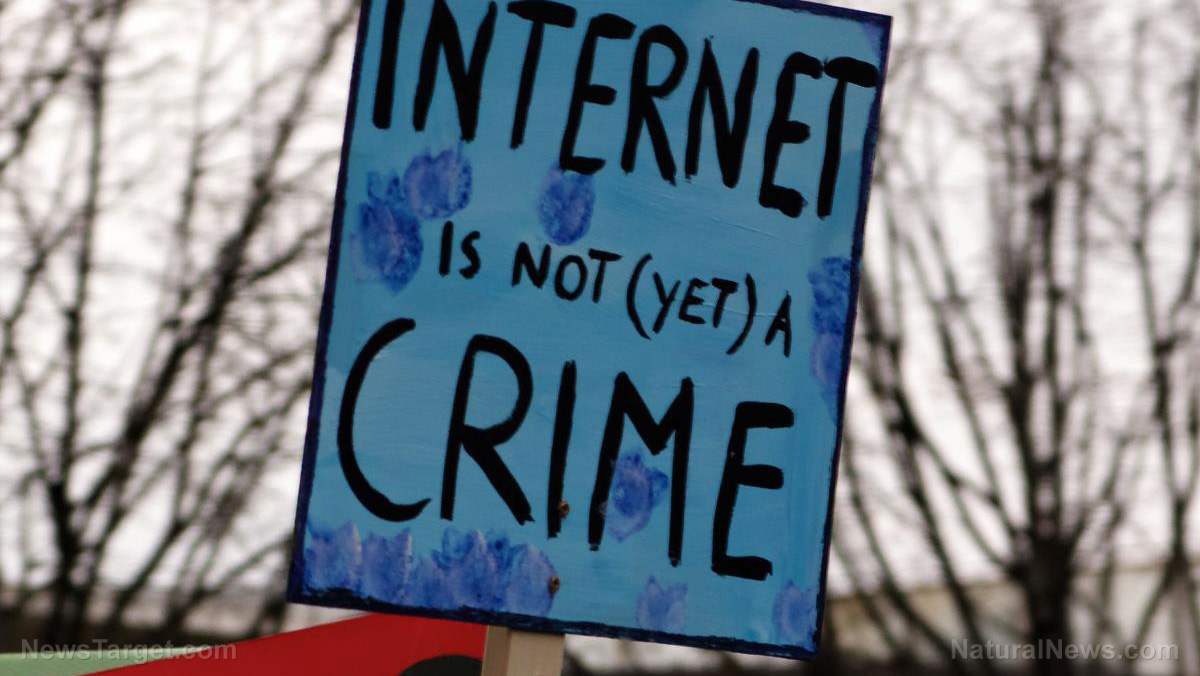 Image: Democrat memo demands complete takeover of the internet, total censorship of political opponents