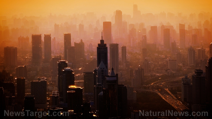 Image: Pollution is “devastating” China’s natural ecosystem and contaminating its food supply
