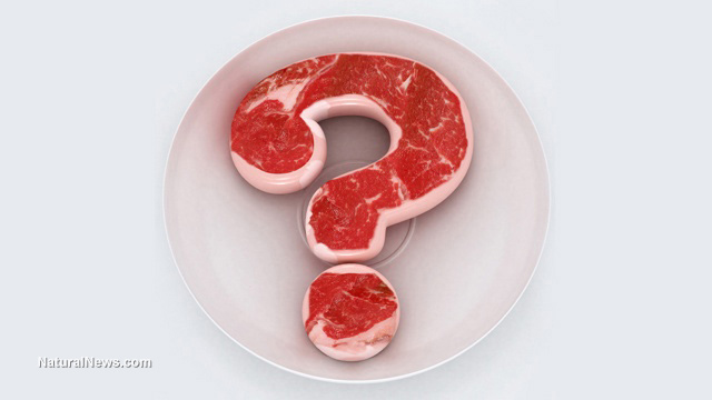 Image: Artificial meat warning: It’s mostly made from MSG, GMOs and toxic ingredients that harm the planet