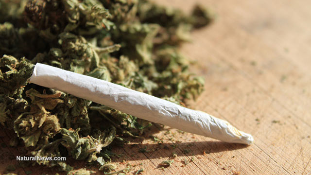 Image: Lawmakers set to approve marijuana as a treatment for menstrual cramps