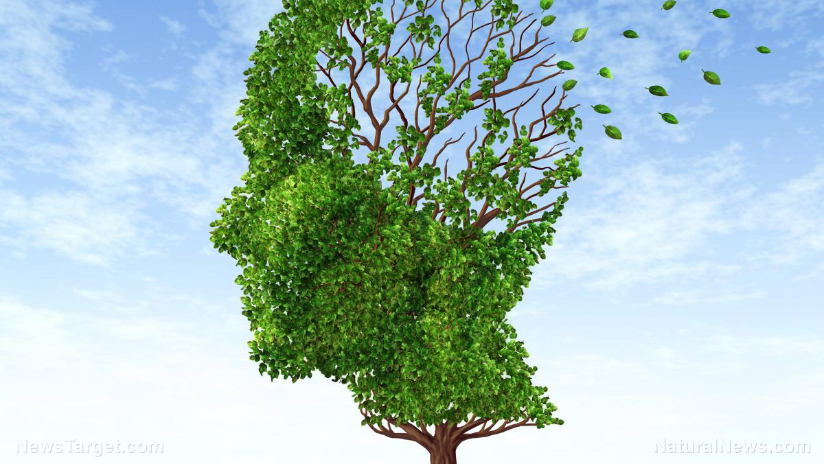 Image: One of nature’s best kept secrets: Elya leaves reduce brain damage linked to Alzheimer’s