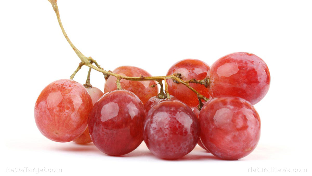 Image: Resveratrol compound in grapes found to kill cancer stem cells