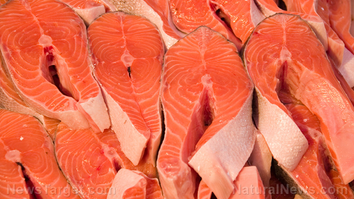 Image: Half of farmed salmon found to be DEAF due to toxic effects of confined aquaculture