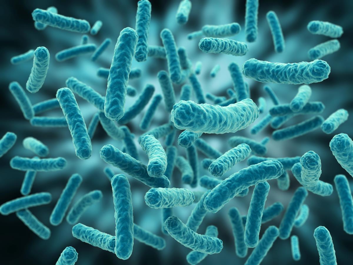 Image: Shapeshifting bacteria? Scientists discover how E. coli in space becomes antibiotic resistant
