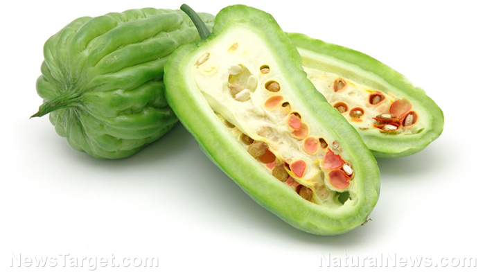 Image: Bitter melon is used by many traditional healers to relieve gastrointestinal symptoms and stimulate menstruation