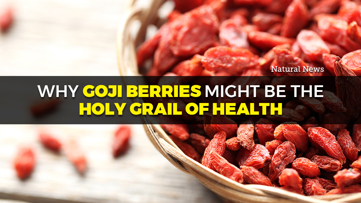 Image: Why goji berries might be the Holy Grail of health
