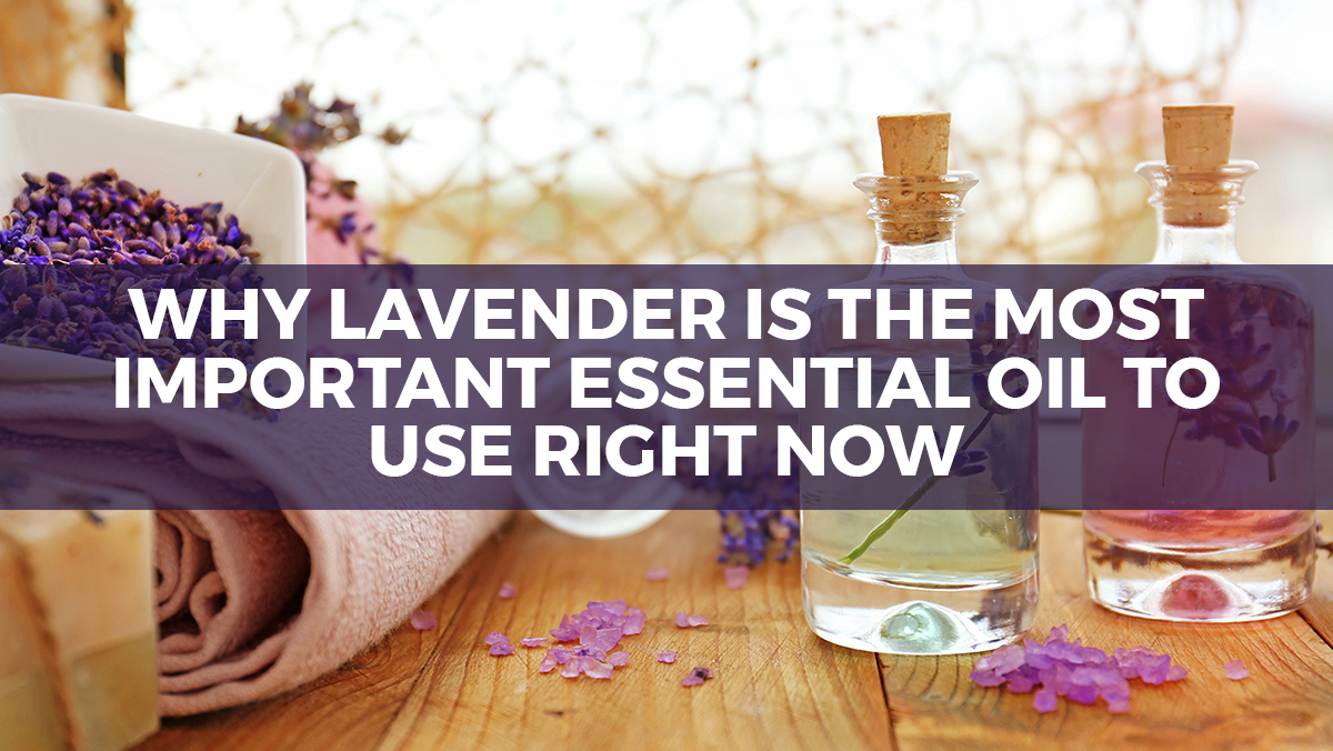 Image: Why lavender is the most important essential oil to use right now