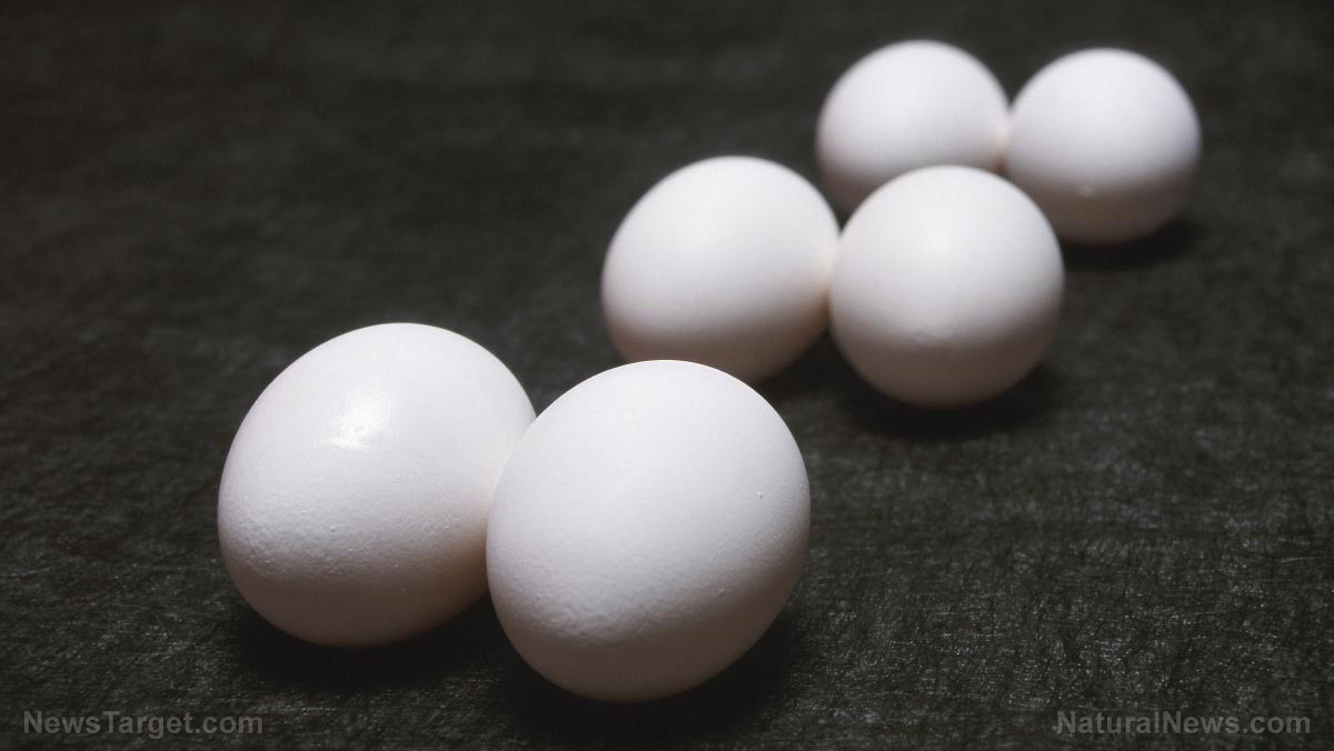 Image: Offering high-quality vitamins to essential minerals, eggs are truly “Nature’s multivitamin”