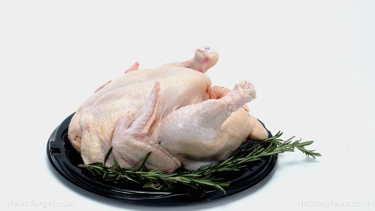 Image: Contaminated chicken: Government looks at farmers, rather than processing plants, for the blame