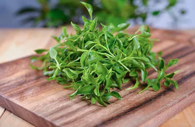 Image: Eat more cress for a healthier liver