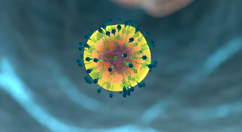 Image: Immune system intelligence: Your biochemistry “morphs” to defend against new parasites