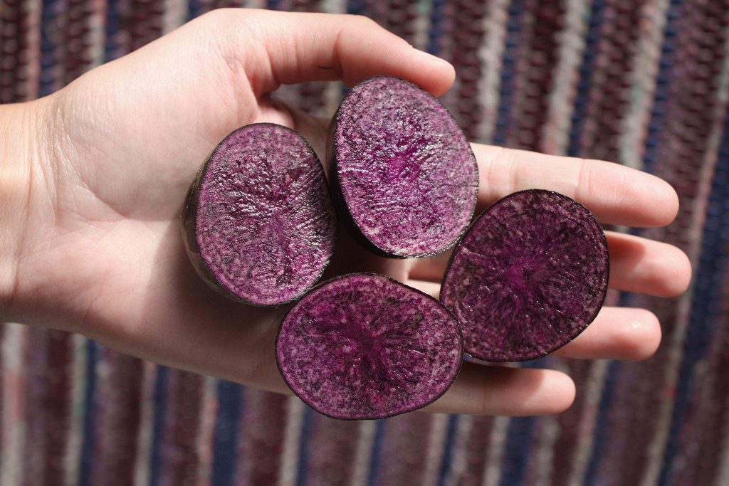 Image: More proof that deeply colored vegetables prevent cancer; purple potatoes found to stop tumors and inflammatory disease