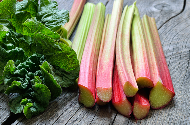 Image: Rhubarb shows promise for treating chronic liver disease