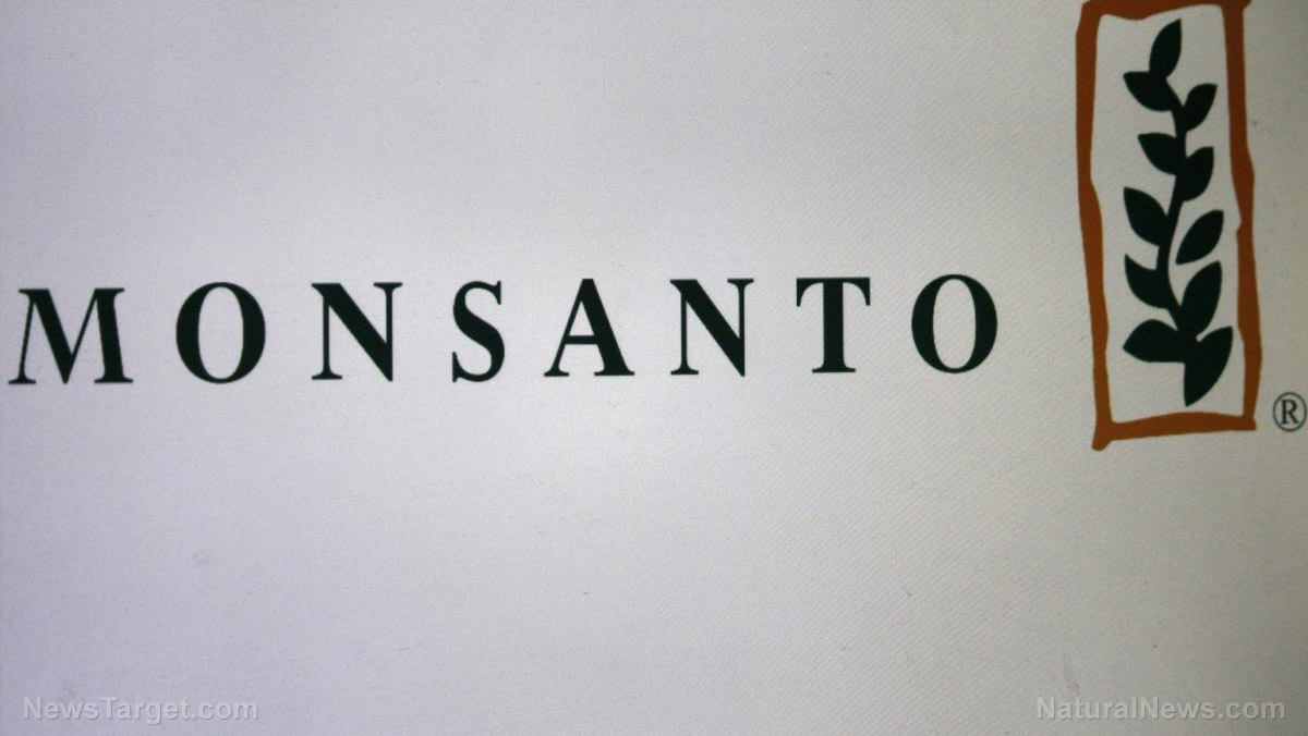 Image: Monsanto secret documents show massive attack on Seralini study