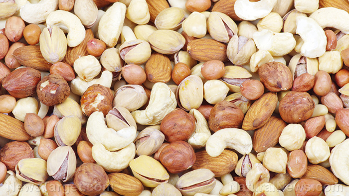 Image: Eating nuts found to dramatically improve “brainwave functions” linked to memory, creativity, performance and intelligence