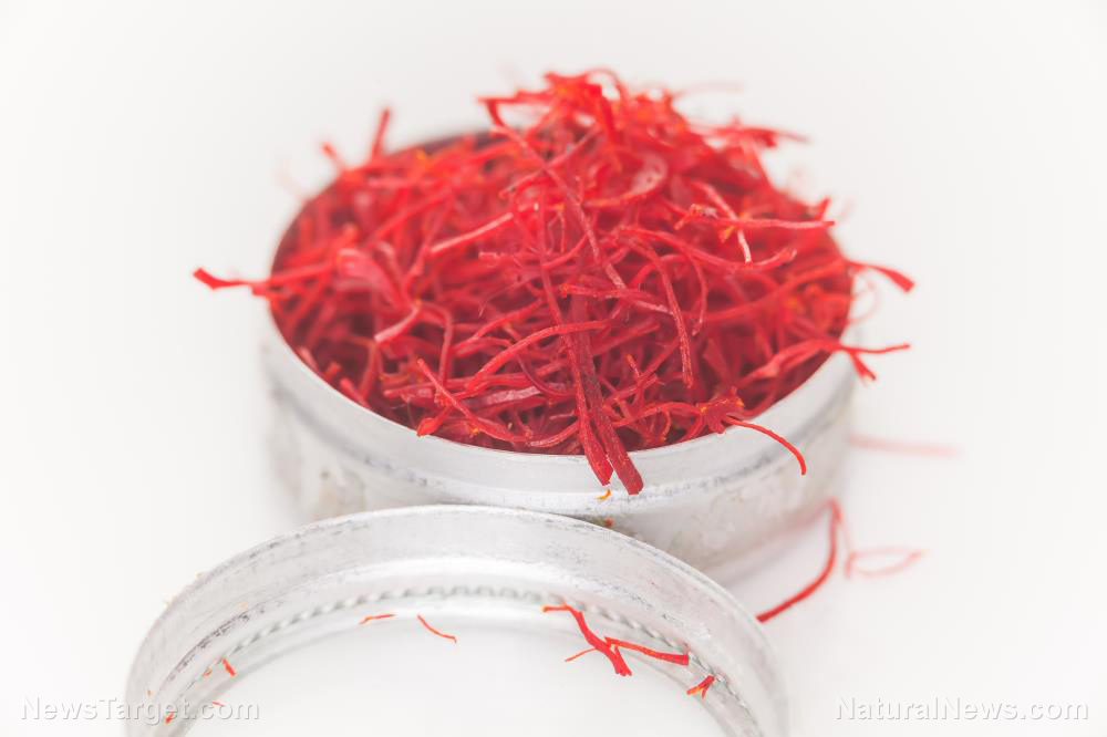 Image: The evidence is clear: Saffron is a scientifically-proven therapeutic spice that can treat a variety of diseases