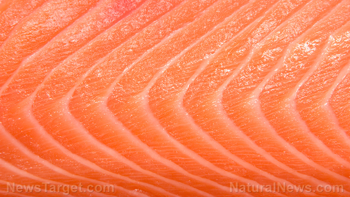 Image: Is there a nutritional advantage to fresh vs frozen fish? Well, that depends…