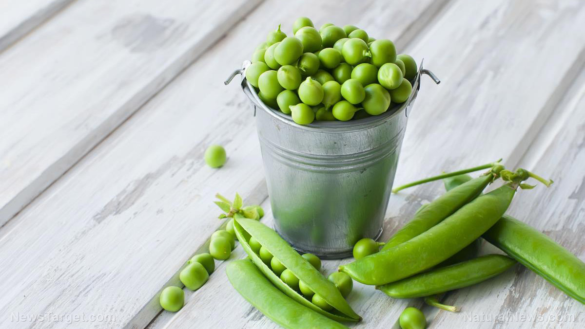 Image: A protein found in the pea effectively kills off common bacteria strains