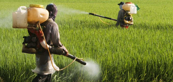 Image: Monsanto / Bayer now facing over 8,000 lawsuits alleging its glyphosate (Roundup) herbicide causes cancer