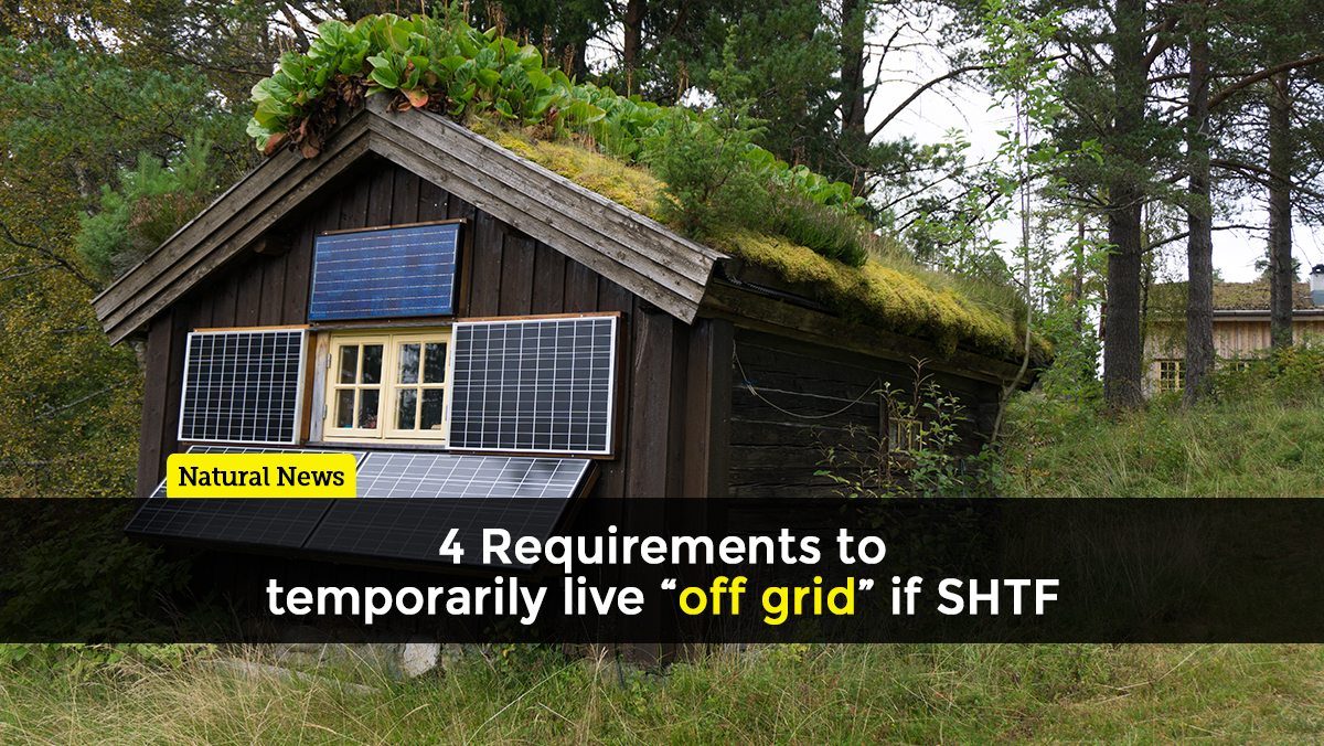 Image: 4 things you’ll definitely need to temporarily live “off grid” if SHTF