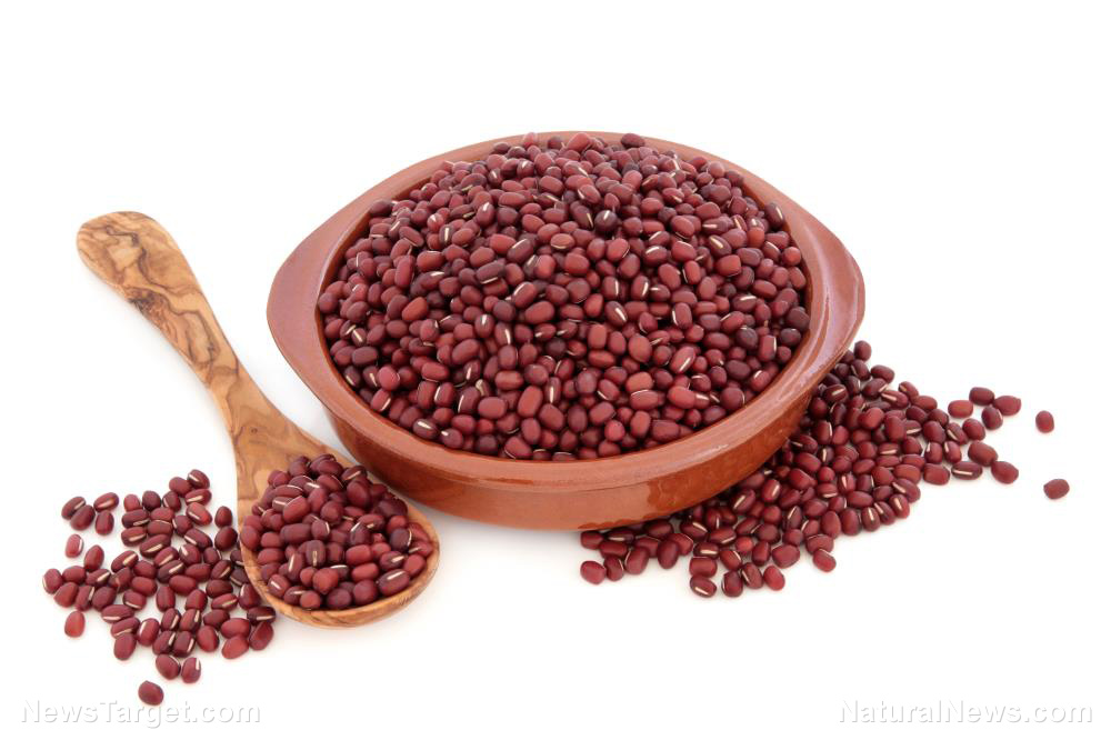 Image: Adzuki beans, one of the more popular legumes in East Asia, has been studied to have potent antioxidant and anti-inflammatory effects