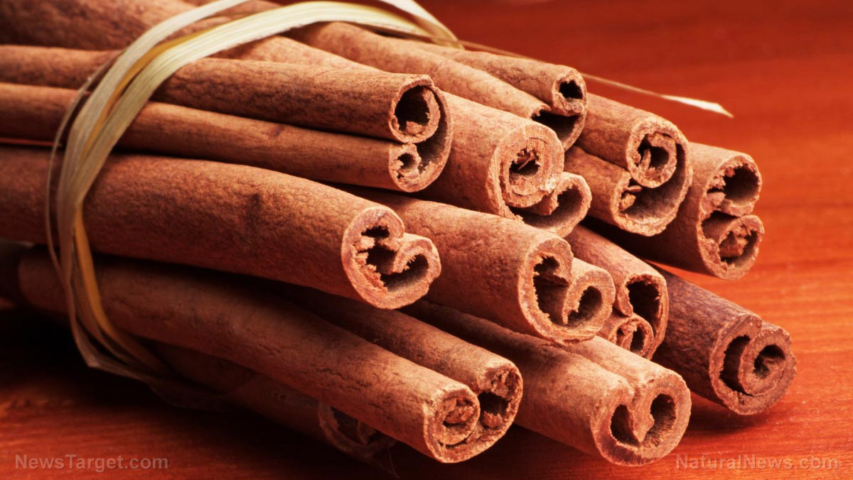Image: Blood cancers can be treated safely and naturally with cinnamon