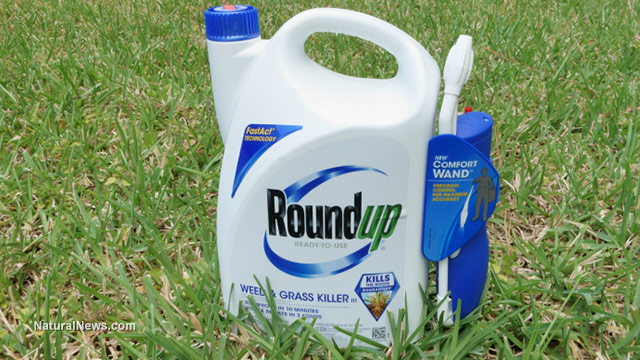 Image: Recent lawsuit says the chemical cocktail comprising Roundup is more toxic than just glyphosate on its own