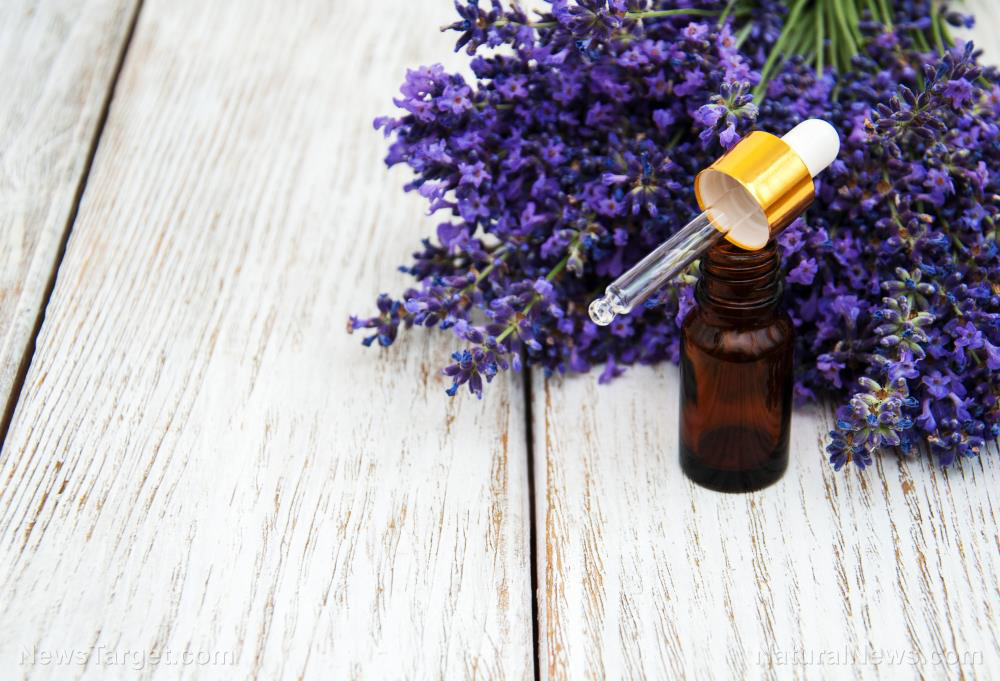 Image: 4 Essential oils that relieve a sinus headache