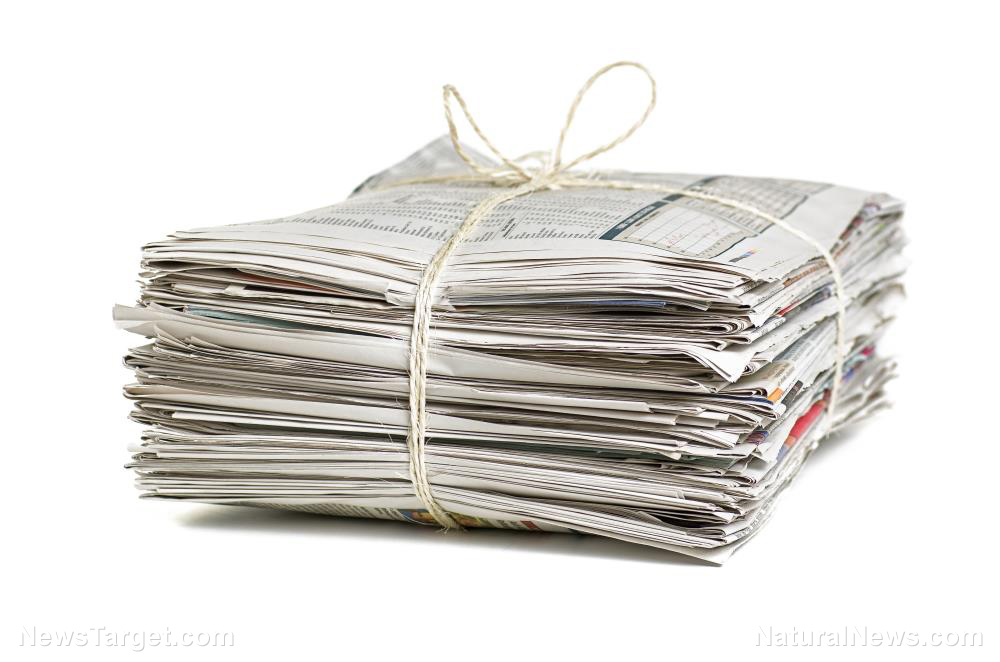 Image: 5 Effortless ways to use old newspapers instead of tossing them to landfill
