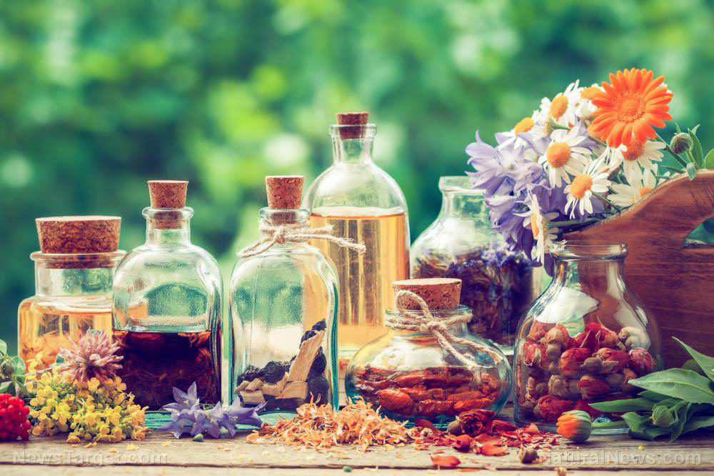 Image: How to solve your medical problems using herbal remedies instead of toxic OTC medicines