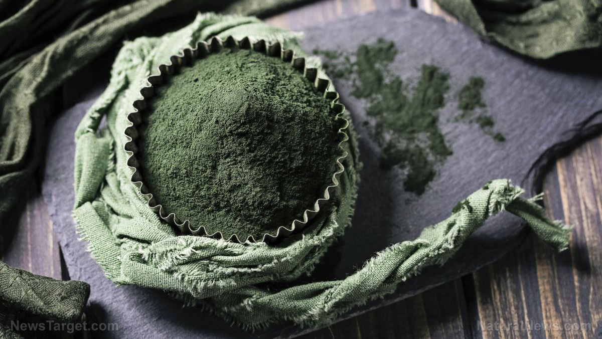 Image: A greener way to healthier weight loss: Spirulina helps obese people regulate their appetite