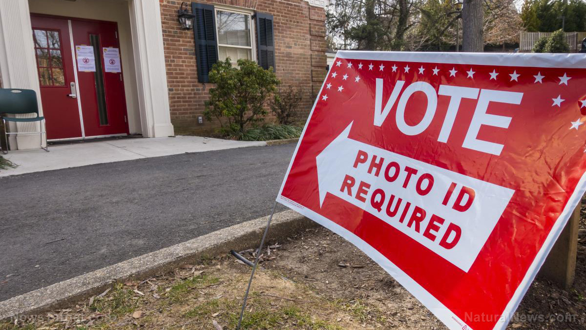 Image: Georgia officials investigating possible cyber crimes and vote tampering by state Democratic Party