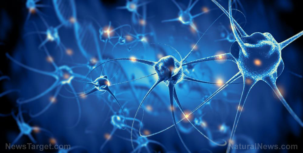 INSANE NEWS:: SPRING'S Dec-18-2018 = HODGES, WHICH SIDE DECLARES MARTIAL LAW 1ST & ASPARTAME DAMAGES BRAIN & FOODS RECALLED & Neuron-Nerve-3D-Alzheimer-Brain-Neural-Electric