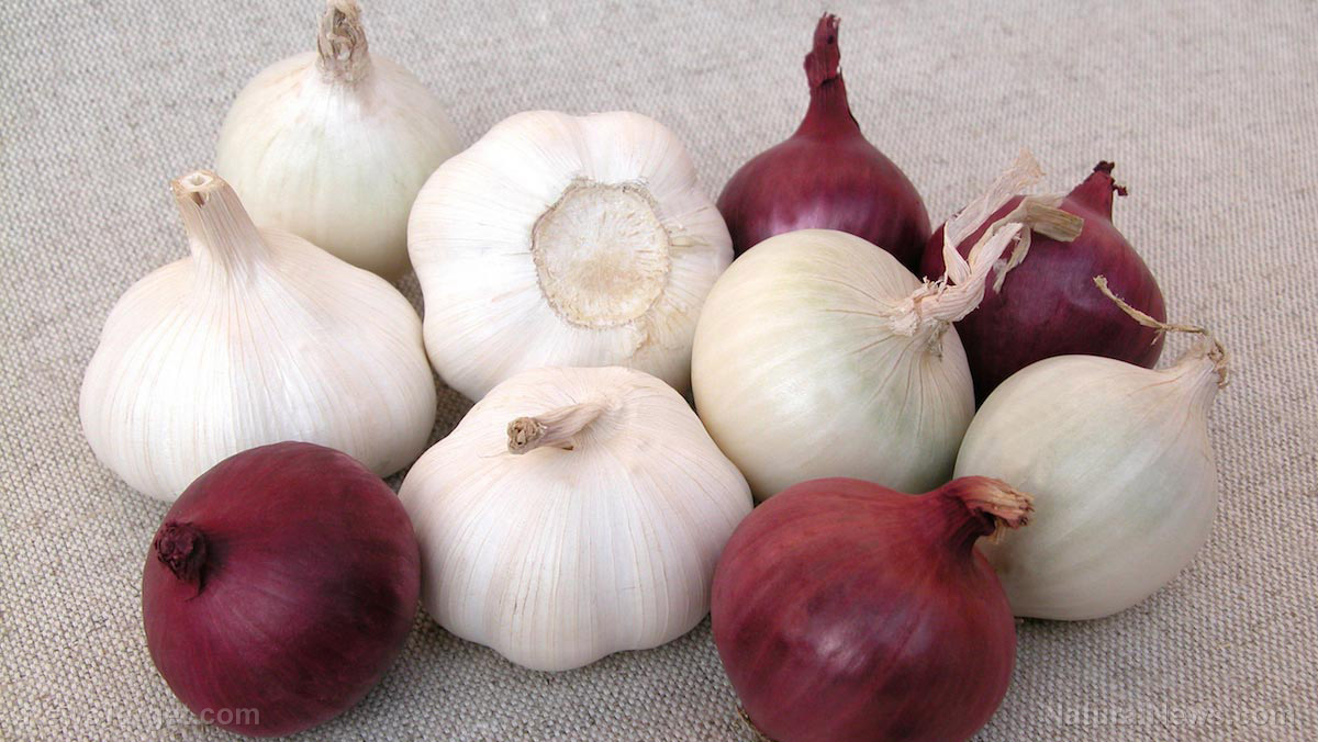 Image: CONFIRMED: Eating lots of onion, garlic, and ginger improves your health