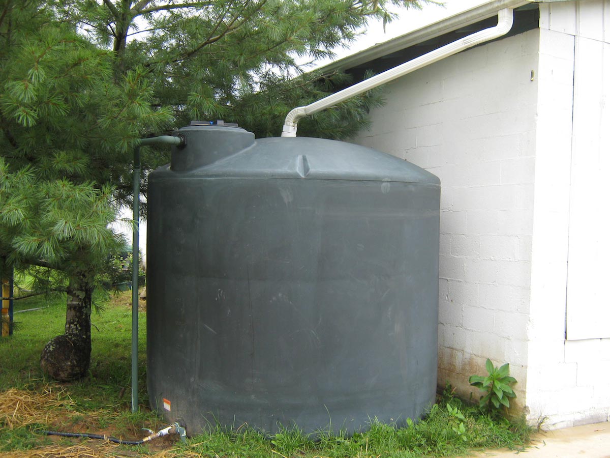 Image: A how-to guide to harvesting rainwater